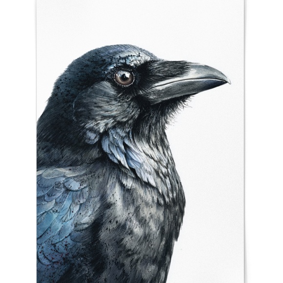 Watercolor Black Crow Wall Art Print Unframed - Black Bird Raven Illustration - Picture 2 of 6